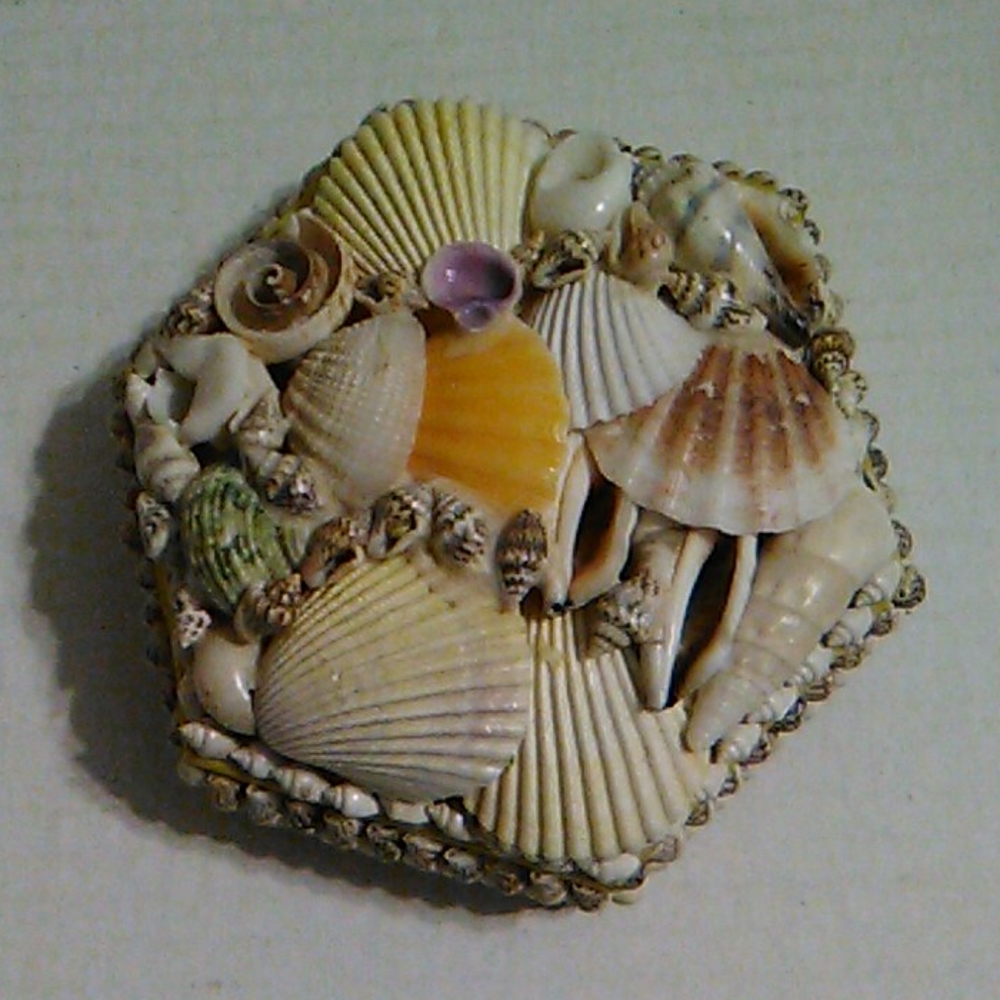 Hexagon shell box - Picture 8 of 8